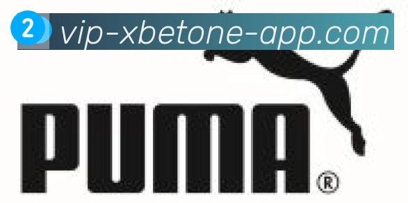 1xbet体育合作伙伴