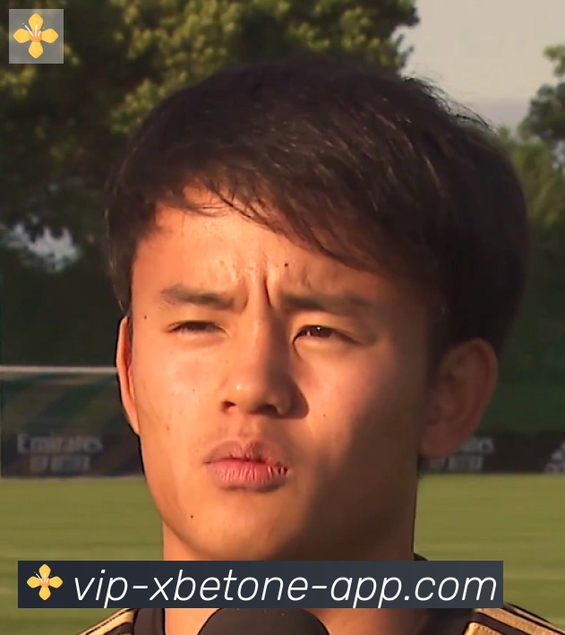维尼修斯
